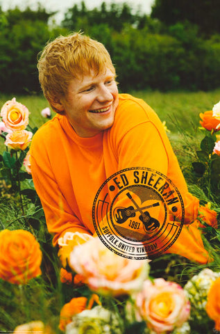 Poster: Ed Sheeran - Rose Field Portrait