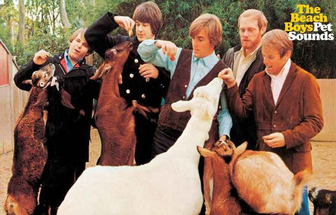 Beach Boys Pet Sounds Poster