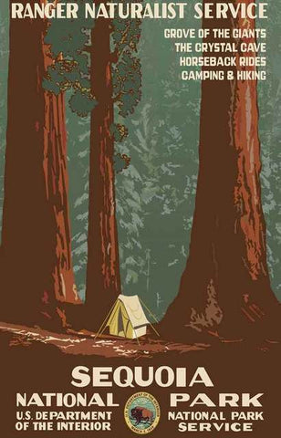 Sequoia National Park Poster