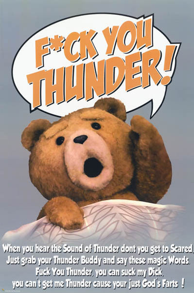Ted Thunder Buddy Mantra Poster 24x36 Bananaroad