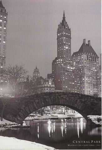 Manhattan Central Park Bridge Poster