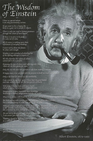 Albert Einstein Wisdom Poster