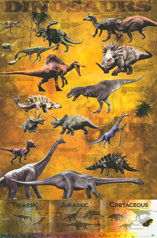 Dinosaurs Infographic Poster