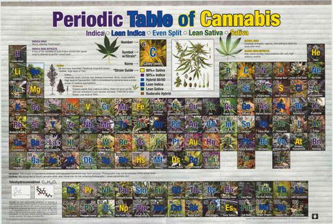 Periodic Table of Cannabis Poster