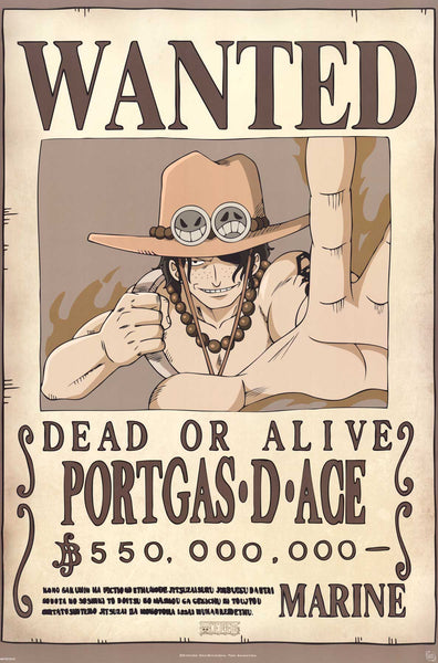 One Piece Wanted Poster