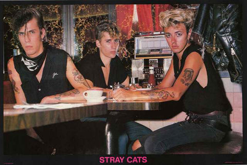 The Stray Cats Band Poster