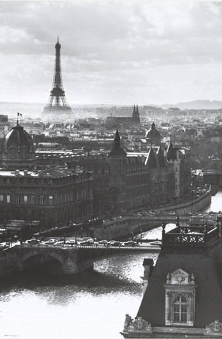 Paris Eiffel Tower Seine River Poster