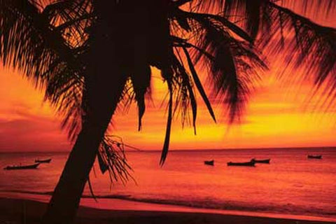 Tropical Beach Boats at Sunset Poster