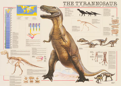 Tyrannosaurus Rex Dinosaur Poster