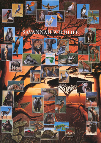 Wildlife of the African Savannah Poster
