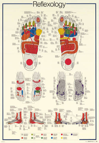 Reflexology Foot Massage Anatomy Poster