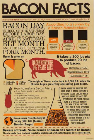 Bacon Facts Poster