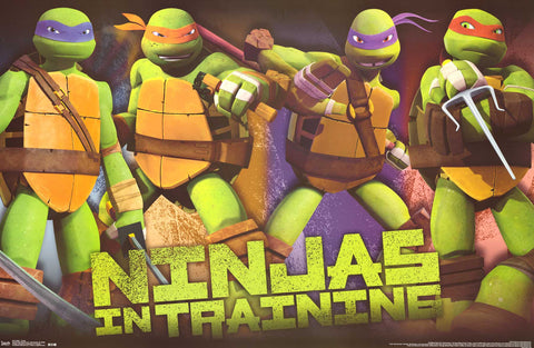 Teenage Mutant Ninja Turtles in Training
