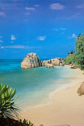 Tropical Beach Paradise Cove Poster