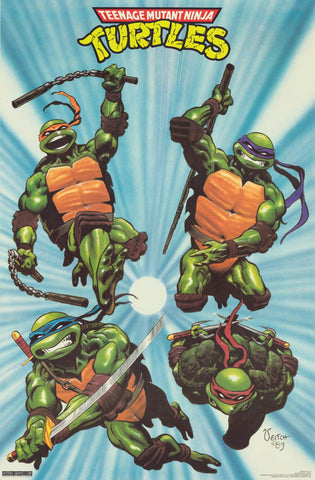 Teenage Mutant Ninja Turtles Poster 22x32