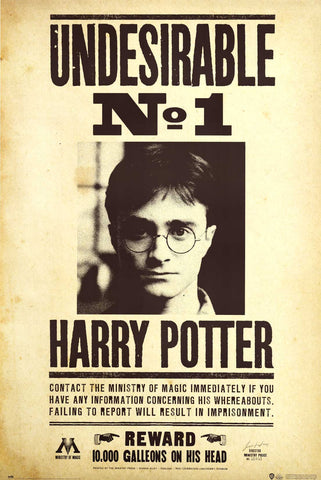 Poster: Harry Potter - Undesirable #1