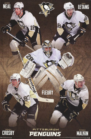 Pittsburgh Penguins NHL Hockey Poster
