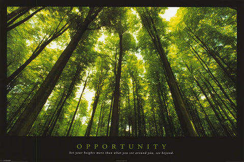 Opportunity Inspiration Quote Poster