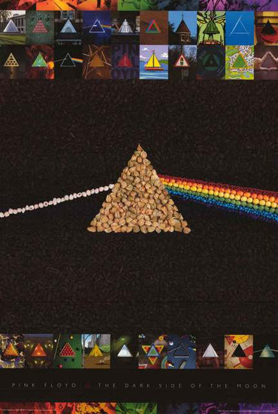 Pink Floyd Dark Side Organic Poster 24x36 – BananaRoad