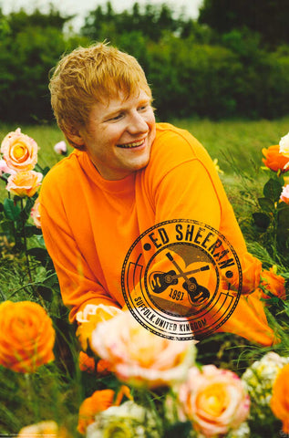 Poster: Ed Sheeran - Rose Field Portrait 