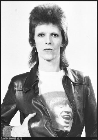 David Bowie 1973 Portrait Poster 