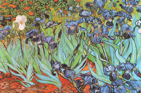 Vincent Van Gogh Irises Art Poster 24x36