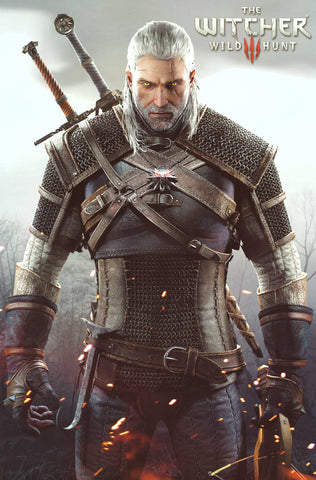 Poster: The Witcher 3 - Wild Hunt 