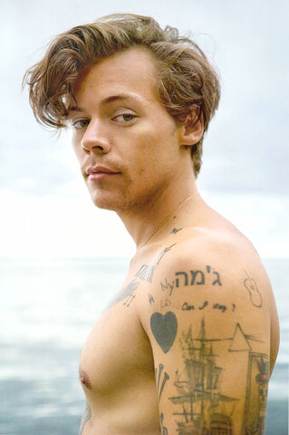 Poster: Harry Styles - On Beach Vertical 