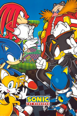 Sonic the Hedgehog Video Game Poster