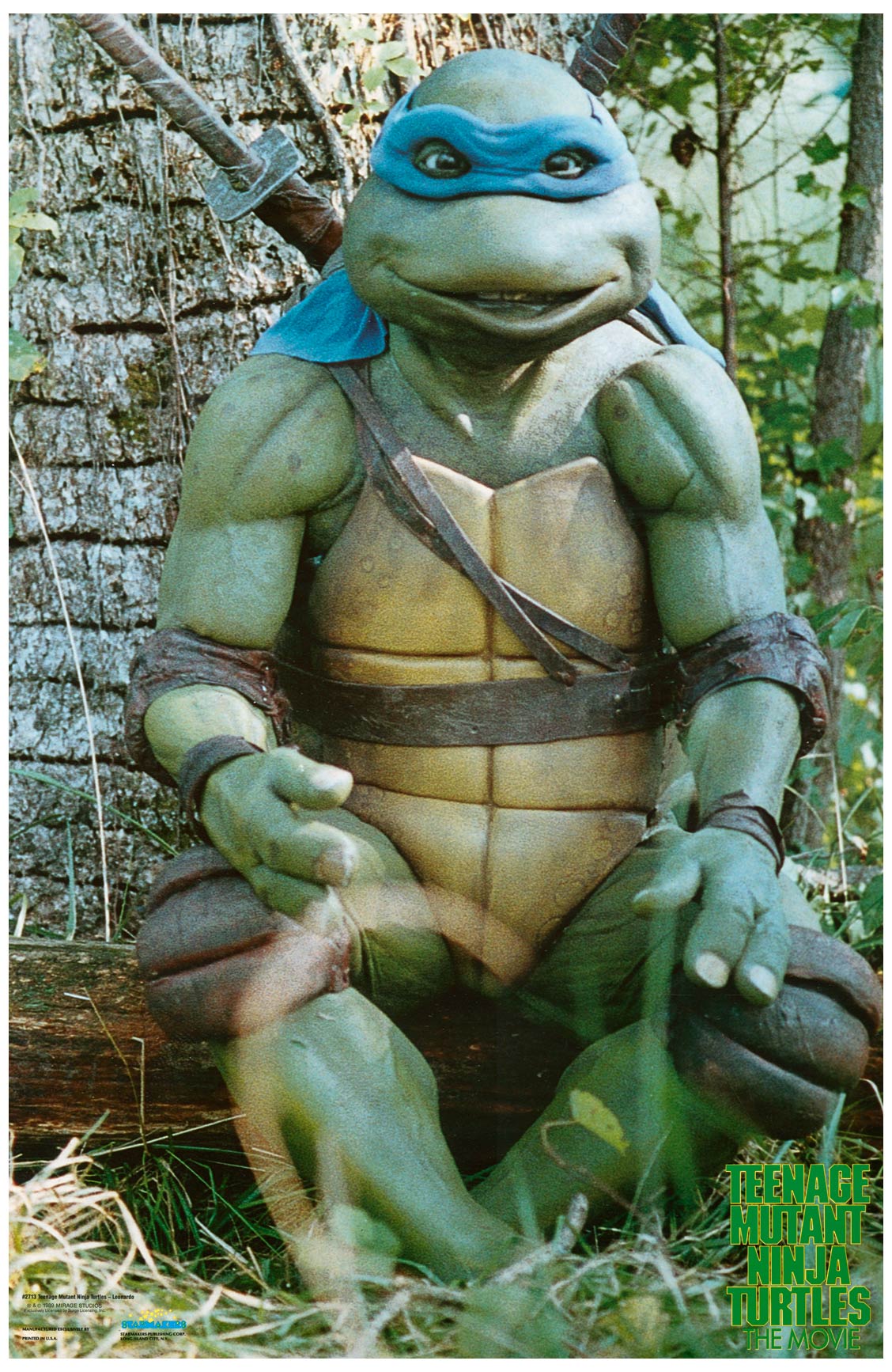 Teenage Mutant Ninja Turtles 2024 Leonardo Poster