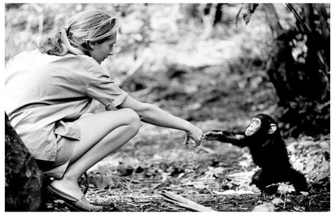 Jane Goodall Portrait Poster