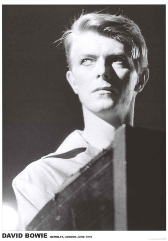 David Bowie Portrait Poster