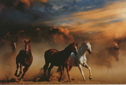Wild Horses Stampede Poster