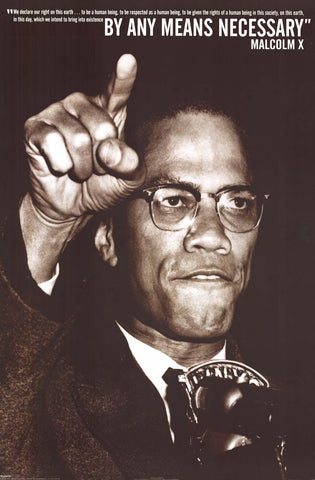 Malcolm X By Any Means Necessary Quote Poster