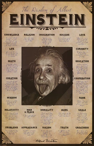Albert Einstein Wisdom Quotes Poster
