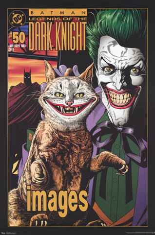 Batman The Joker with Cat DC Comics Poster