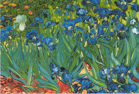 Vincent Van Gogh Irises Poster