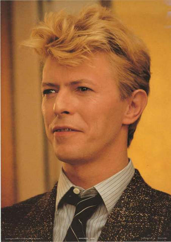 David Bowie Portrait Poster