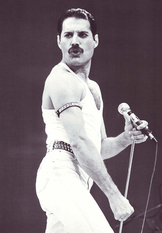 Queen Freddie Mercury On Stage Poster