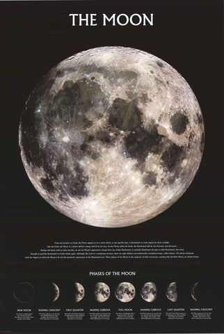 The Moon Lunar Phases Poster