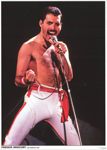 Queen Freddie Mercury Poster