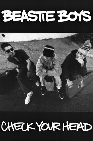 Beastie Boys Check Your Head Poster 24x34