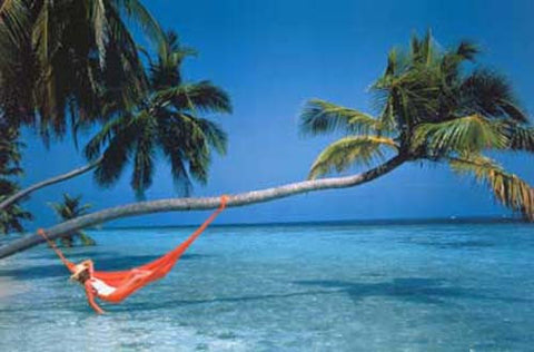 Tropical Island Beach Poster