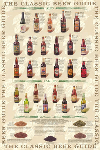 Beer Guide Infographic Poster