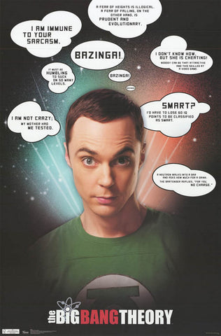 The Big Bang Theory TV Show Poster