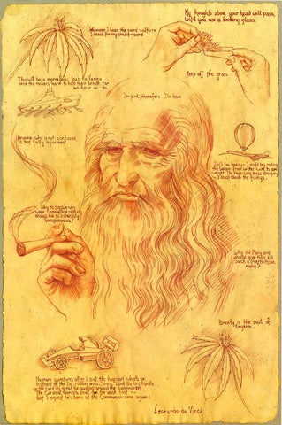 Leonardo da Vinci Marijuana Humor Poster 24x36