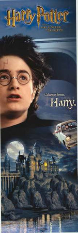 Harry Potter Chamber of Secrets Poster