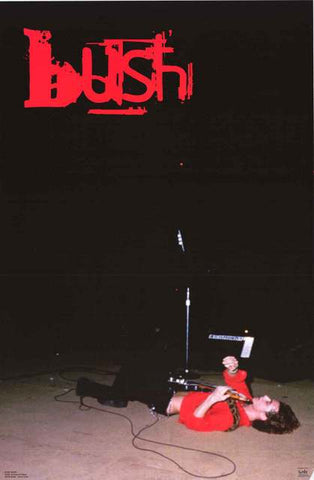 Bush Band Poster