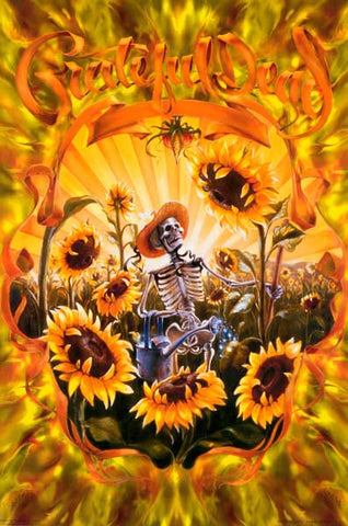 Grateful Dead Band Poster