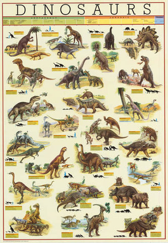 Dinosaur Evolution Poster  Dinosaur Poster Paintings